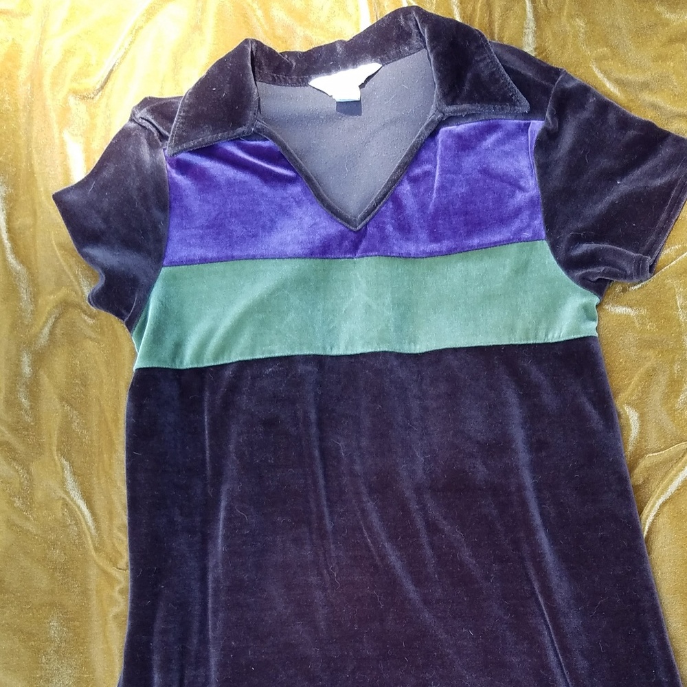 Express velvet dress